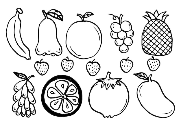Various fruit sketch on white background
