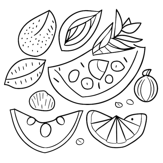 Vector various fruits collection for summer and coloring book page for kdp