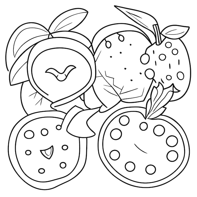 Vector various fruits collection for summer and coloring book page for kdp