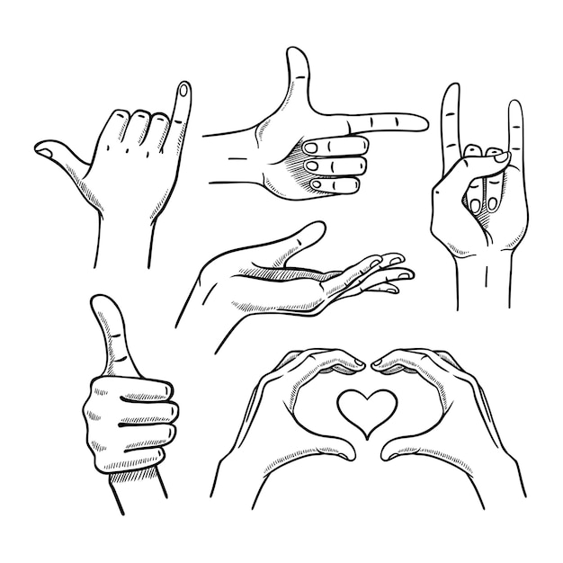 Vector various gestures of female hands.