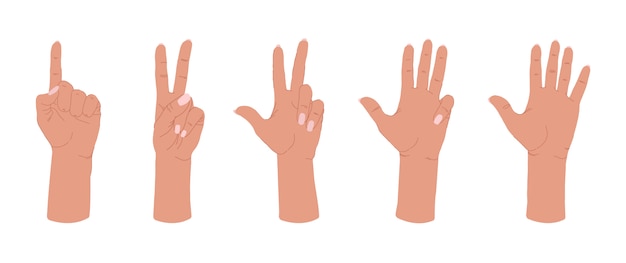 Vector various gestures of human hands isolated on a white