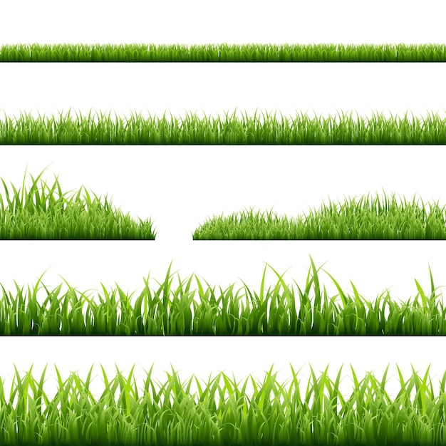 Various grass borders illustration