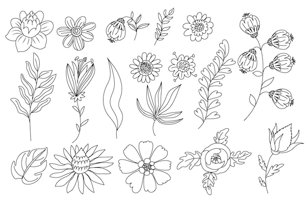 Vector various hand drawn line art floral illustrations