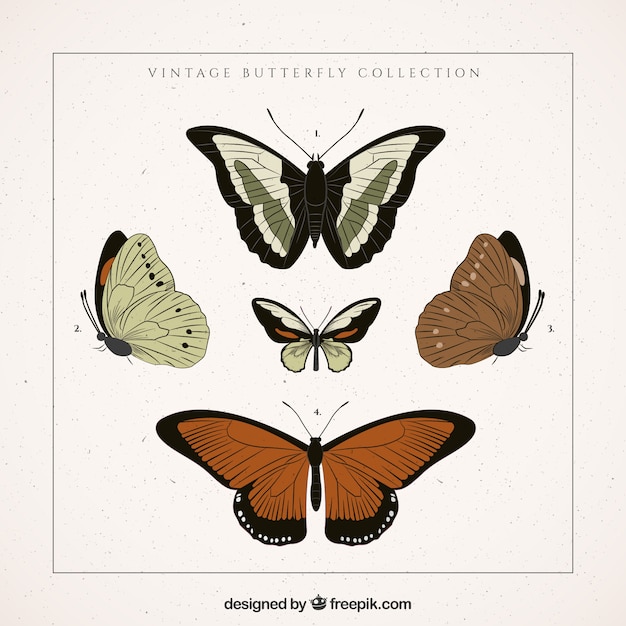 Vector various hand drawn retro butterflies