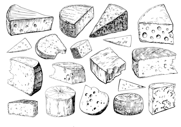 다양한 종류의 치즈, 파르메잔, 브리, 카멘베르트, 체더 조각, 손으로 그린 잉크 일러스트레이션