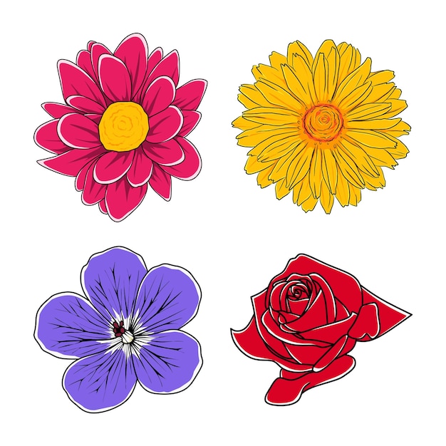 various kinds of flowers in vector illustration