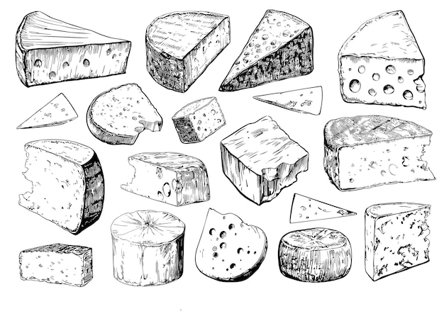 벡터 다양한 종류의 치즈, 파르메잔, 브리, 카멘베르트, 체더 조각, 손으로 그린 잉크 일러스트레이션