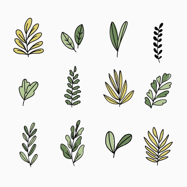 Various leaves doodle collection