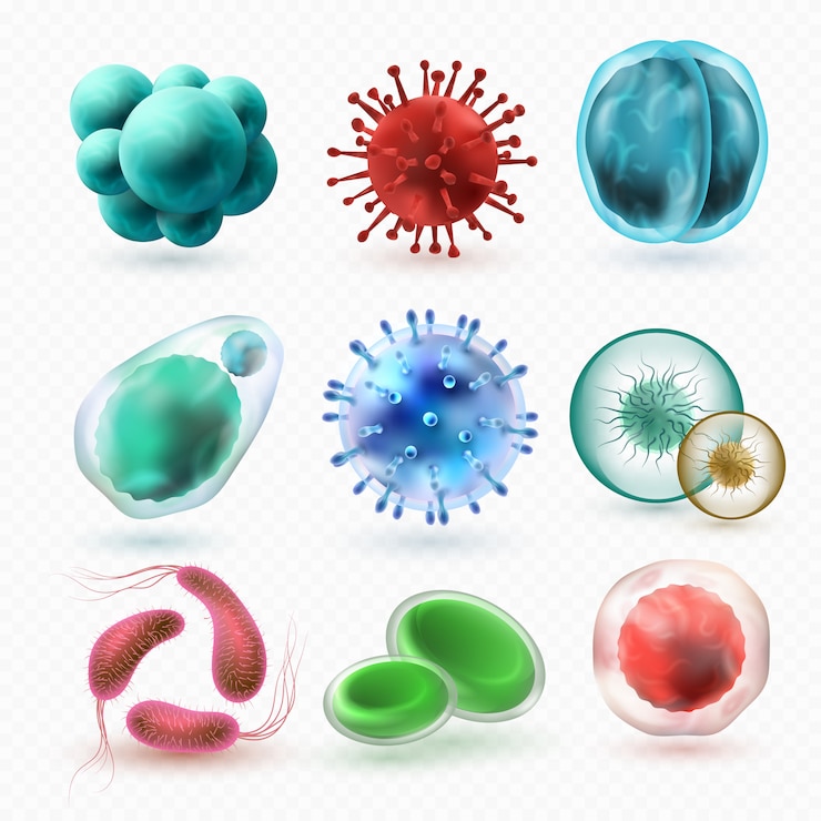 Vector various microscopic 3d bacteria and virus