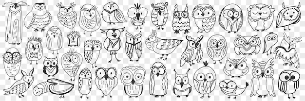 Vector various owls birds doodle set. collection of hand drawn cute owls night birds of various shapes and sizes showing faces isolated.