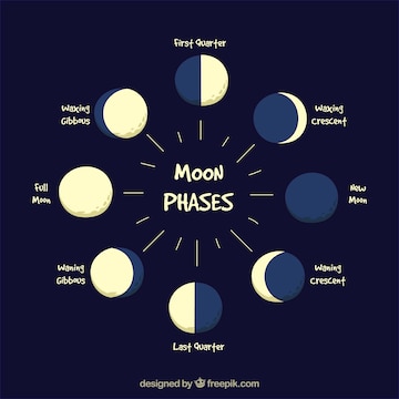 Premium Vector | Various phases of the moon