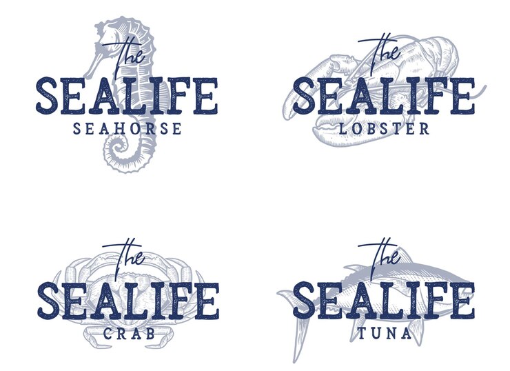 Vector various sea life quotes and illustrations collection
