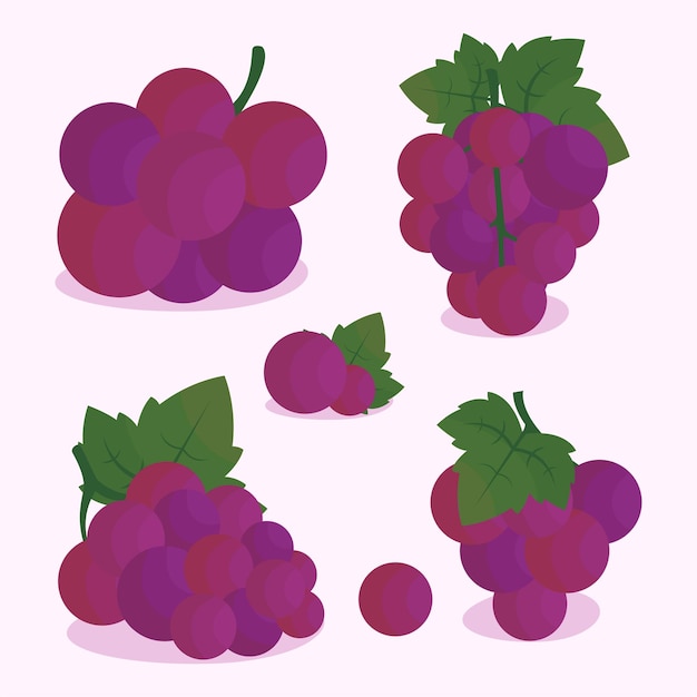 Various set of grapes flat cartoon exotic natural desserts isolated