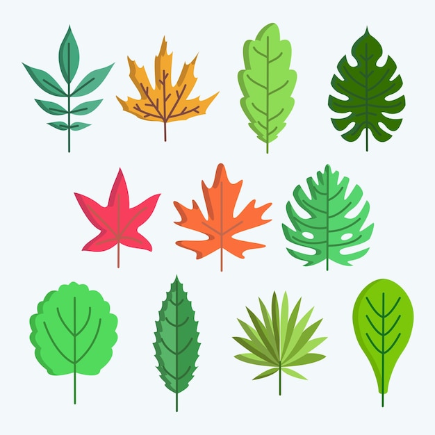 Vector various shapes if leaf forms