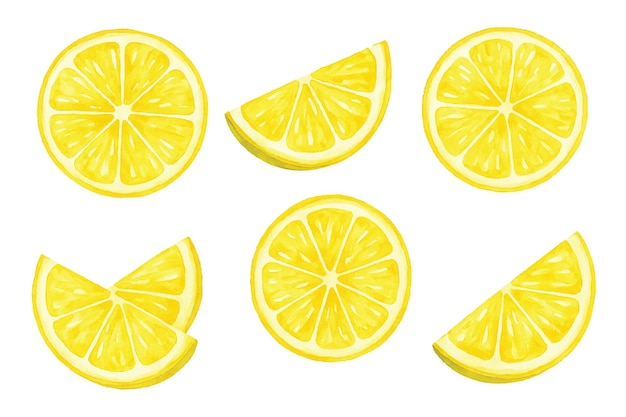 various slices of lemons illustration
