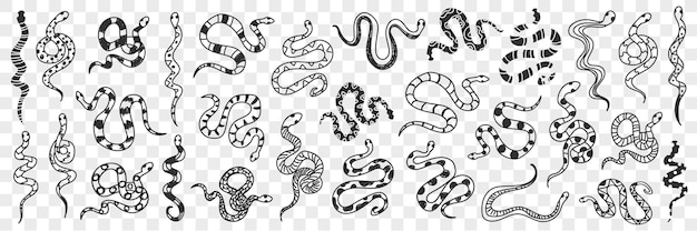 Vari serpenti di modelli diversi scarabocchiano illustrazione stabilita