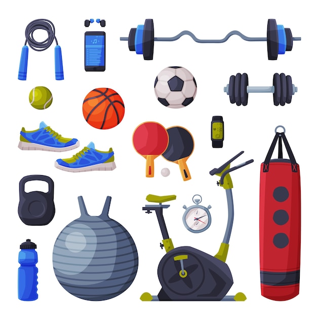 Vector various sport equipment and accessories set basketball boxing soccer table tennis objects vector