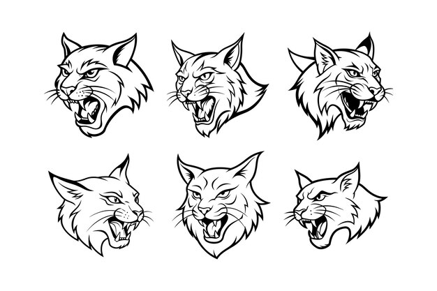 various styles of a bobcats face logo labeled highvector design illustration