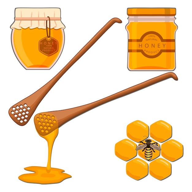 Vector various sweet tasty natural honey from honeycomb