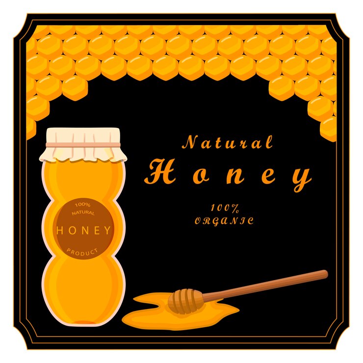 Vector various sweet tasty natural honey from honeycomb