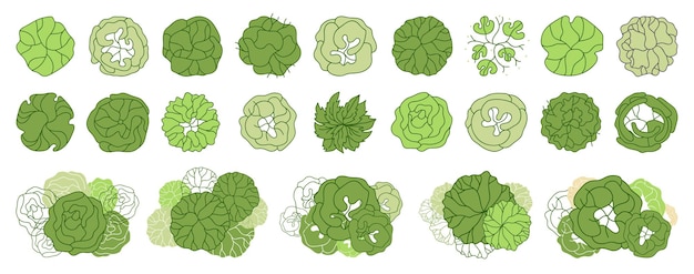 Various trees bushes and shrubs top view for the landscape design plan