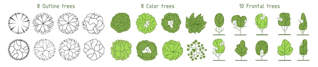 Various trees bushes and shrubs top view for the landscape design plan