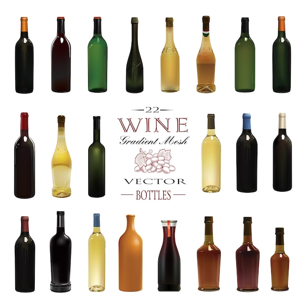 Vector various types of wine bottles. vector illustration