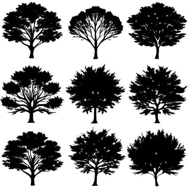 Vector various of vector tree silhouettes in dark black color