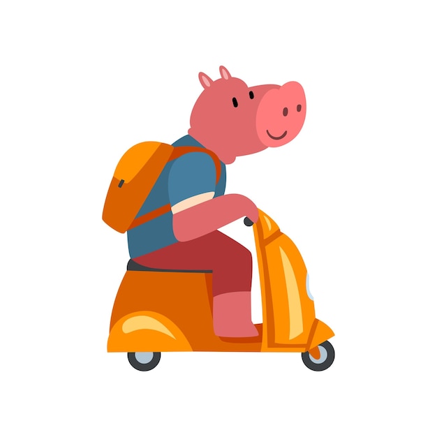 Varken met rugzak rijden scooter grappig dier karakter met behulp van voertuig vectorillustratie op witte achtergrond