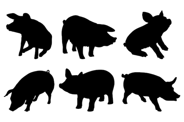varken silhouet set collectie geïsoleerd zwart op witte achtergrond vector illustratie