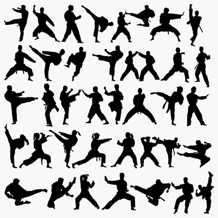 Vector vechtsporten silhouet