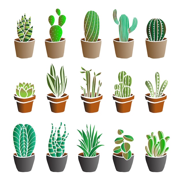 Illustrazione di piccole piante di cactus vecror con colore verde