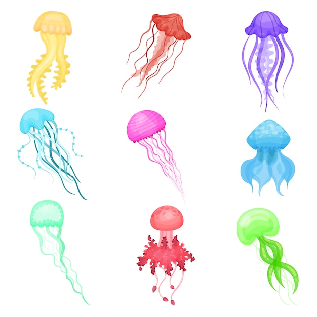 Set di vectoe di meduse di diversi colori. animali marini con lunghi tentacoli. vita da mare e oceano