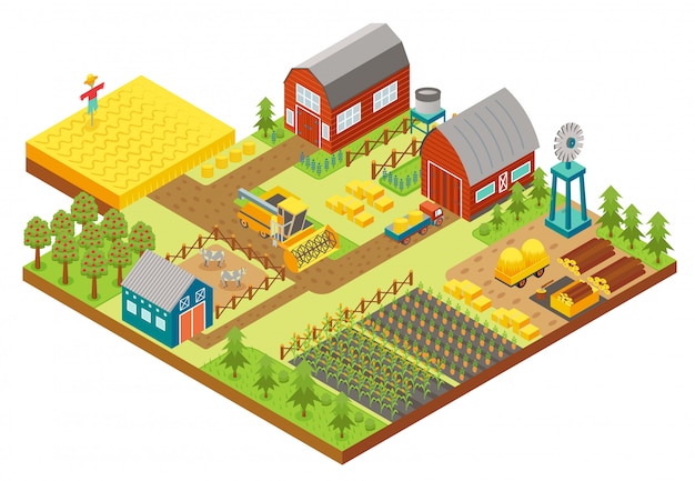 Vector vector 3d isometric rural farm with mill, garden field, trees, tractor combine harvester, house, windmill and warehouse for app and game.