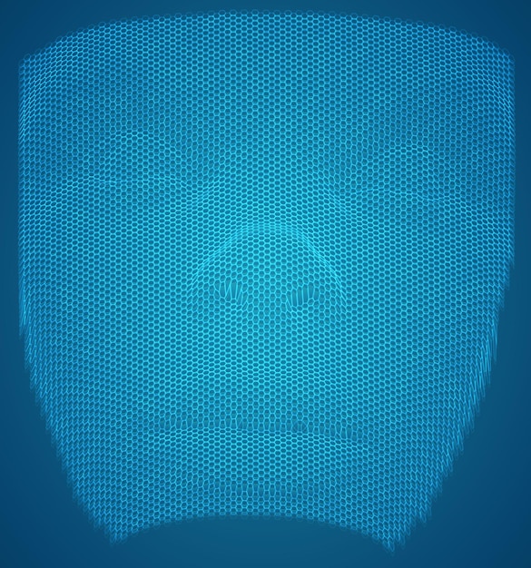 Vector 3d portrait of a girl from a render of a hexagonal grid