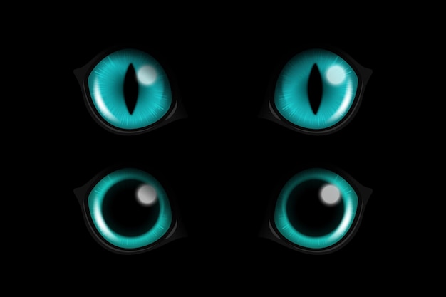 Vector 3d Realistic Blue Round Glowing Cats Eyes of a Black Cat Set Cat Look in the Dark Black Background Closeup Glowing Cat or Panther Eyes