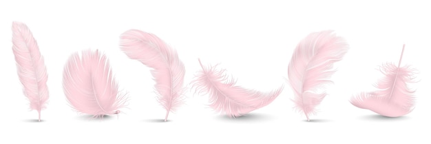 Vector vector 3d realistic different falling pink fluffy twirled feather set closeup isolated on white background design template clipart of angel or bird detailed feather in various shapes