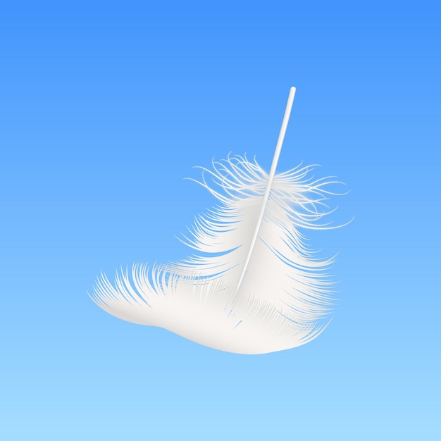 vector 3d realistic falling white fluffy feather closeup on blue sky background design template of angel bird detailed feather lightness and freedom concept