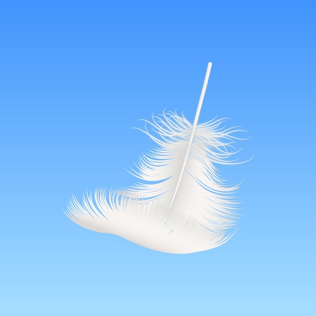 Vector vector 3d realistic falling white fluffy feather closeup on blue sky background design template of angel bird detailed feather lightness and freedom concept