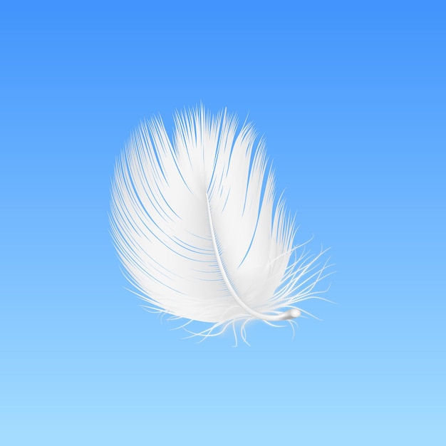 Vector vector 3d realistic falling white fluffy twirled feather closeup on blue sky background design template of angel bird detailed feather lightness and freedom concept