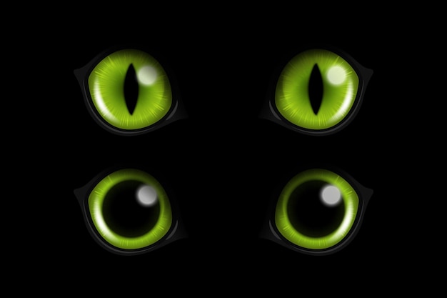 Vector vector 3d realistic green round glowing cats eyes of a black cat set cat look in the dark black background closeup glowing cat or panther eyes