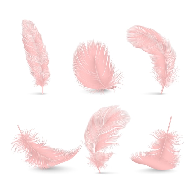 vector 3d realistic pink fluffy feather set isolated on white background design template of flamingo angel bird detailed feathers lightnessfreedom concept