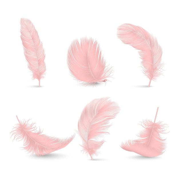 Vector vector 3d realistic pink fluffy feather set isolated on white background design template of flamingo angel bird detailed feathers lightnessfreedom concept