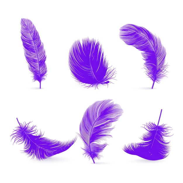 Векторный 3d реалистичный фиолетовый пушистый набор перьев, изолированный на белом