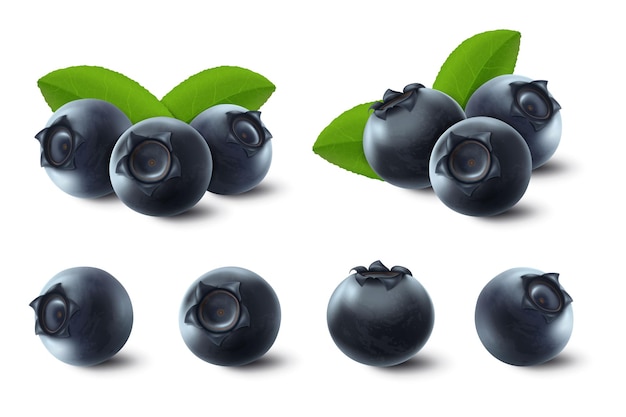 Vector vector 3d realistic raw blueberry with green leaves, isolated on white background. ripe berries full of nutritions and vitamins, juicy fresh cooking ingredient.