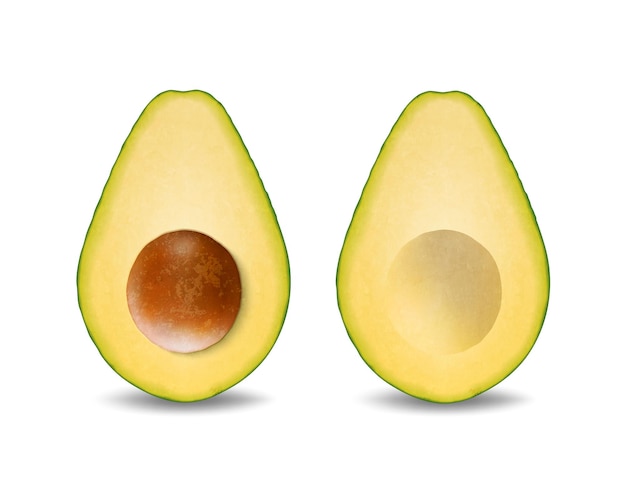 Vector 3D-realistische gesneden halve avocado met zaad Icon Set close-up geïsoleerd op een witte achtergrond ontwerpsjabloon voedsel gezondheid dieet Concept vooraanzicht