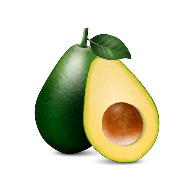 Vector 3D-realistische hele en halve avocado met zaad en blad close-up geïsoleerd op een witte achtergrond ontwerpsjabloon voedsel gezondheid dieet concept vooraanzicht