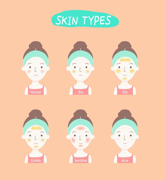 Vector vector about flathand drawn skin types set