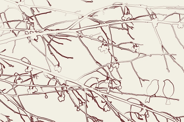 Векторный абстрактный фон контура природы силуэтов птиц, сидящих на ветвях рябины