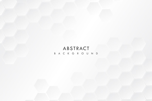 Vector abstract white and gray hexagon Geometric background